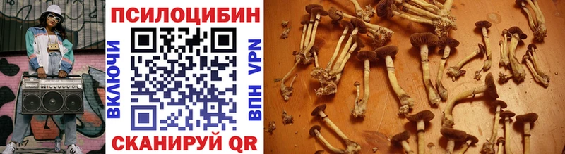 дарнет шоп  omg ссылки  Галлюциногенные грибы MAGIC MUSHROOMS  Агидель 